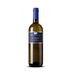 Nibbiano 2019