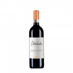 Colli dell'Uccellina 2019
