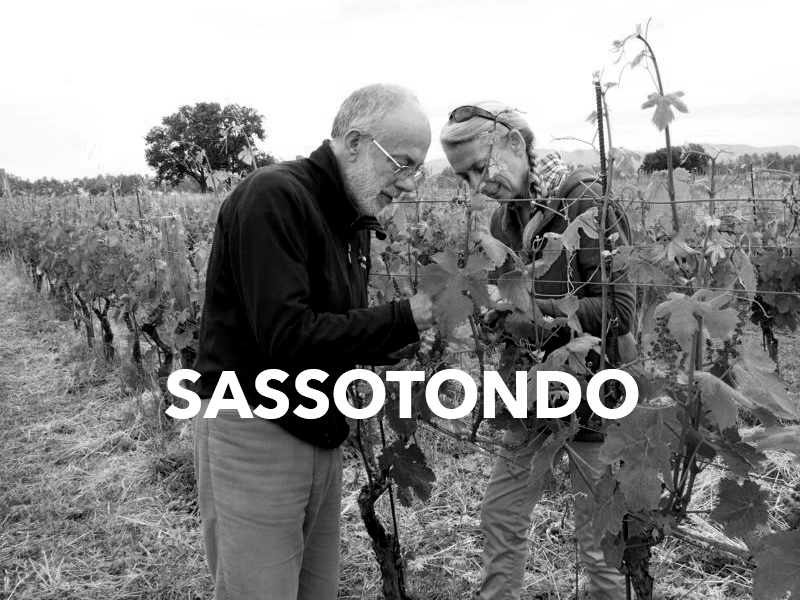 Sassotondo