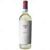Soave Runcaris 2024