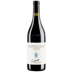 Barbera d'Alba 2023