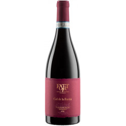 Valpolicella Rispasso 2020