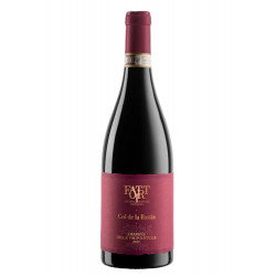Amarone della Valpolicella 2019