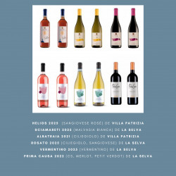 Carton dégustation – July